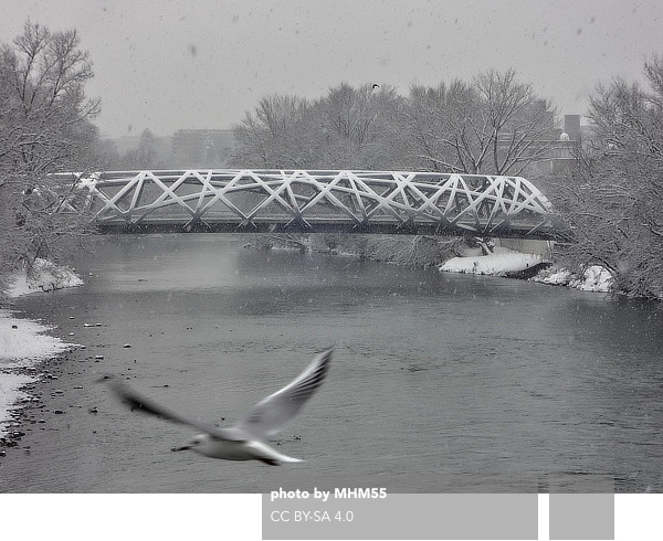 Pont Hans-Wilsdorf Bridge, brodbeck roulet, Geneva, Genève, Switzerland, Hans Wilsdorf Foundation, Rolex